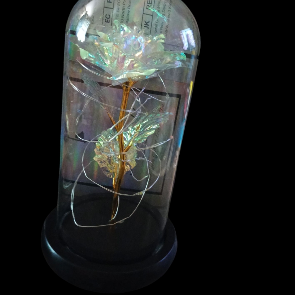 Elegant Glass Dome Roses (Mother's Day Gift Idea) - Picture 2 of 4